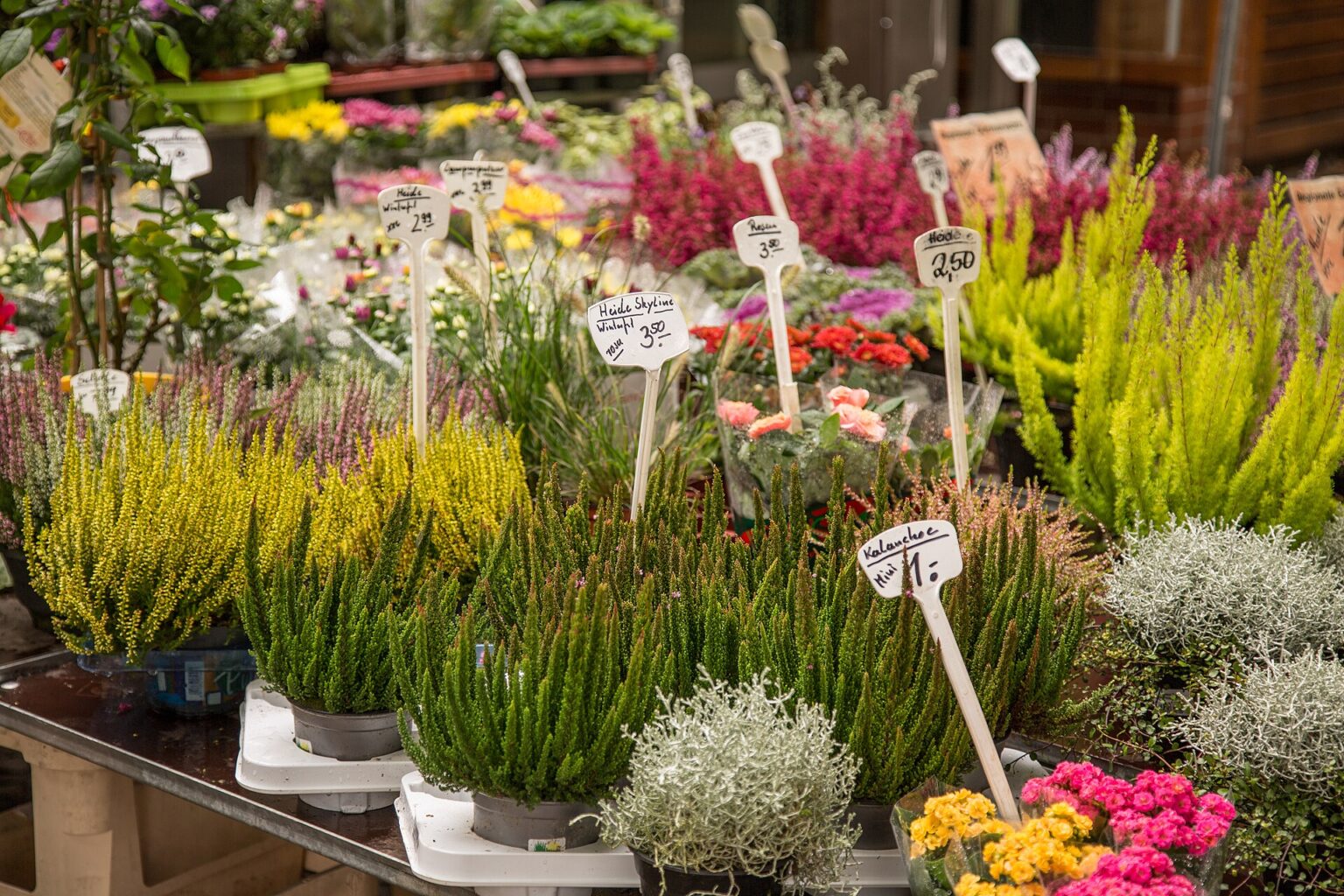 Flohmarkt Berlin, Die schönsten Flohmärkte von Mauerpark bis Rathaus Schöneberg