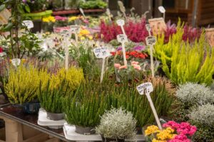 Flohmarkt Berlin, Die schönsten Flohmärkte von Mauerpark bis Rathaus Schöneberg