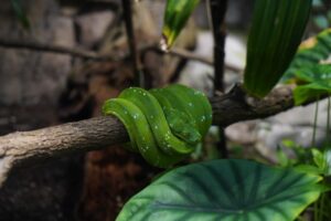 Aquarium Berlin, Zoo-Aquarium am Zoologischen Garten: Öffnungszeiten, Highlights & Tickets