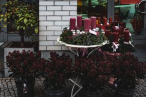 Die schönsten Blumenläden in Berlin für jeden Anlass