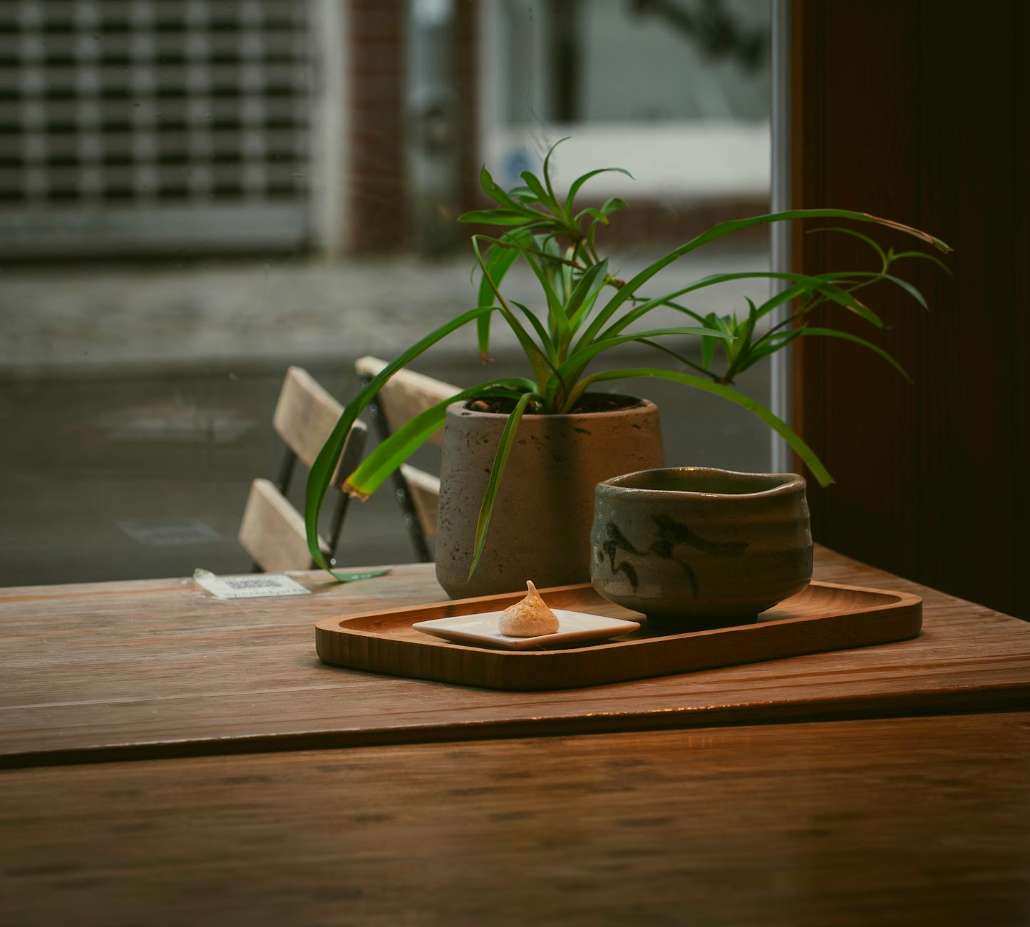 Ceramic cup of tea on wooden table with green plant indoors in a cozy ambiance.